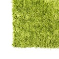 FX GRASSY GREEN BOA 550g